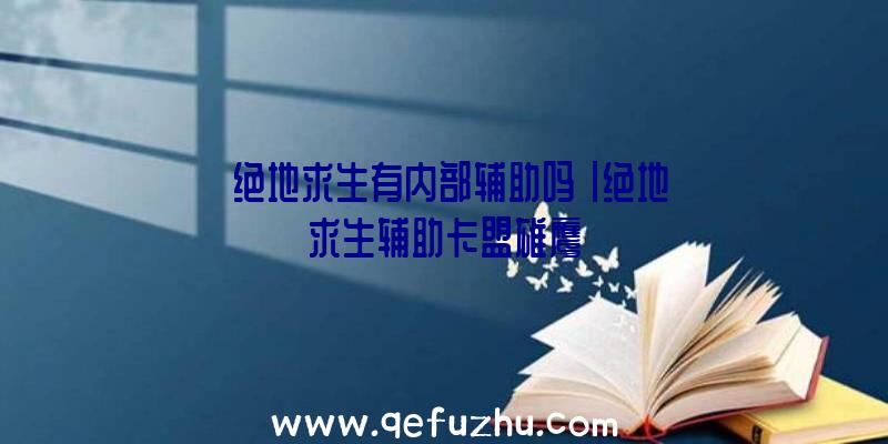 「绝地求生有内部辅助吗」|绝地求生辅助卡盟雄鹰